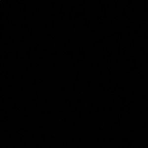 Meet your Posher, Ramon